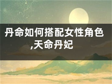 丹命如何搭配女性角色,天命丹妃
