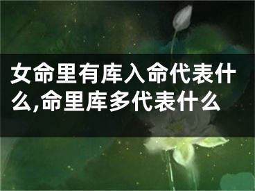 女命里有库入命代表什么,命里库多代表什么