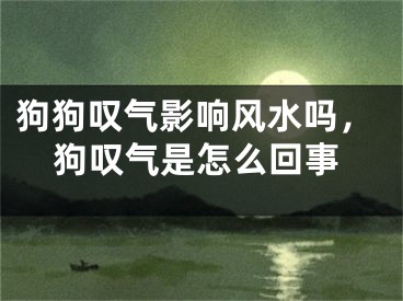 狗狗叹气影响风水吗，狗叹气是怎么回事
