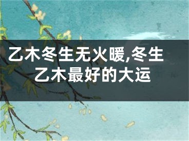 乙木冬生无火暖,冬生乙木最好的大运