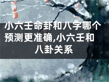 小六壬命卦和八字哪个预测更准确,小六壬和八卦关系