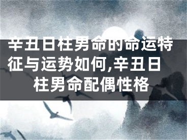 辛丑日柱男命的命运特征与运势如何,辛丑日柱男命配偶性格