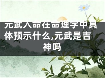 元武入命在命理学中具体预示什么,元武是吉神吗