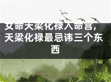 女命天梁化禄入命宫,天梁化禄最忌讳三个东西