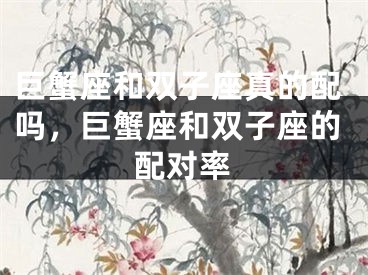 巨蟹座和双子座真的配吗,巨蟹座和双子座的配对率