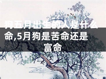 狗五月出生的人是什么命,5月狗是苦命还是富命