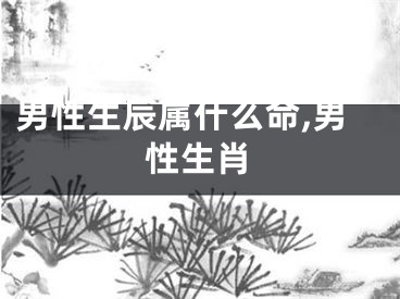 男性生辰属什么命,男性生肖