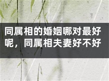 同属相的婚姻哪对最好呢，同属相夫妻好不好