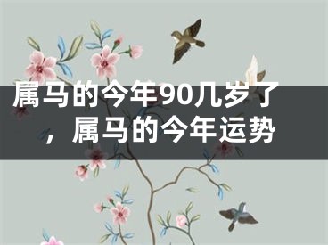 属马的今年90几岁了，属马的今年运势