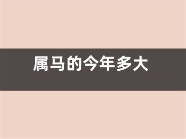 属马的今年多大