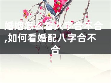婚姻怎么看八字合不合,如何看婚配八字合不合