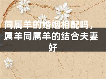 同属羊的婚姻相配吗，属羊同属羊的结合夫妻好