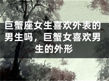 巨蟹座女生喜欢外表的男生吗，巨蟹女喜欢男生的外形