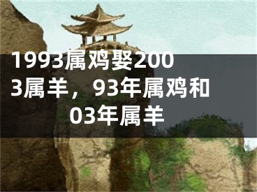 1993属鸡娶2003属羊,93年属鸡和03年属羊
