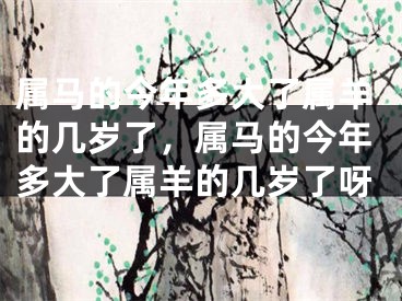 属马的今年多大了属羊的几岁了，属马的今年多大了属羊的几岁了呀