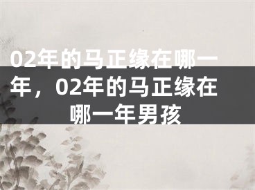 02年的马正缘在哪一年,02年的马正缘在哪一年男孩