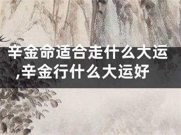 辛金命适合走什么大运,辛金行什么大运好