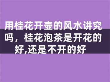 用桂花开壶的风水讲究吗，桂花泡茶是开花的好,还是不开的好