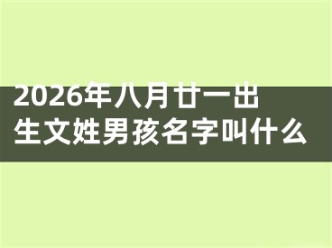 2026年八月廿一出生文姓男孩名字叫什么