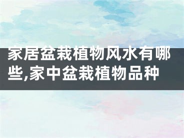 家居盆栽植物风水有哪些,家中盆栽植物品种