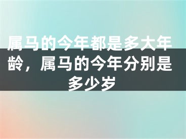 属马的今年都是多大年龄，属马的今年分别是多少岁