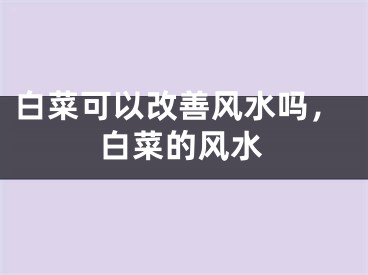 白菜可以改善风水吗，白菜的风水