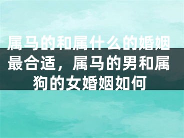 属马的和属什么的婚姻最合适，属马的男和属狗的女婚姻如何