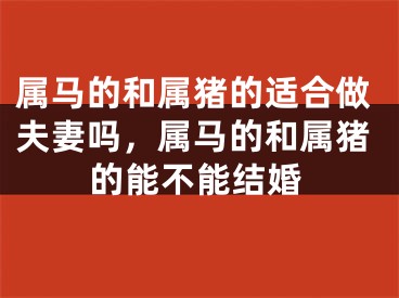 属马的和属猪的适合做夫妻吗，属马的和属猪的能不能结婚