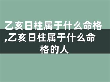 乙亥日柱属于什么命格,乙亥日柱属于什么命格的人
