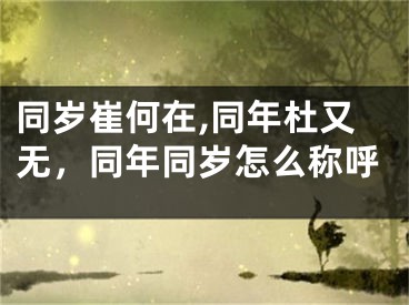 同岁崔何在,同年杜又无，同年同岁怎么称呼
