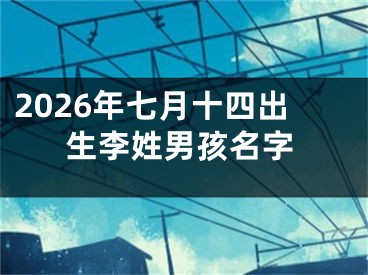 2026年七月十四出生李姓男孩名字