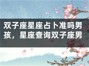 双子座星座占卜准吗男孩，星座查询双子座男