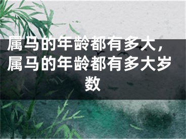 属马的年龄都有多大，属马的年龄都有多大岁数