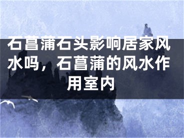 石菖蒲石头影响居家风水吗，石菖蒲的风水作用室内