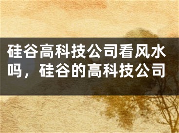 硅谷高科技公司看风水吗，硅谷的高科技公司