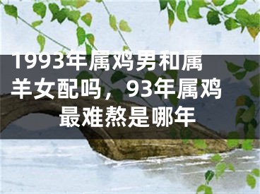 1993年属鸡男和属羊女配吗,93年属鸡最难熬是哪年