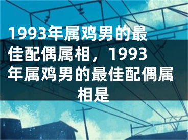 1993年属鸡男的最佳配偶属相，1993年属鸡男的最佳配偶属相是