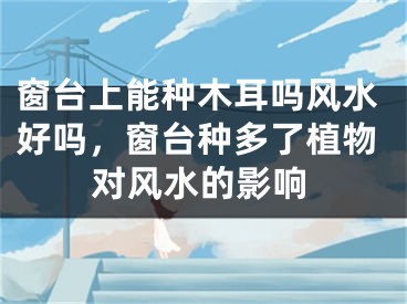 窗台上能种木耳吗风水好吗,窗台种多了植物对风水的影响