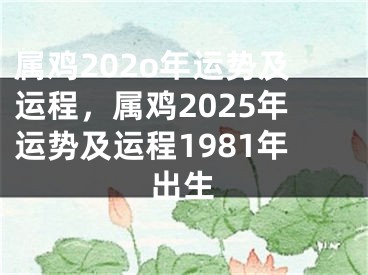 属鸡202o年运势及运程，属鸡2025年运势及运程1981年出生