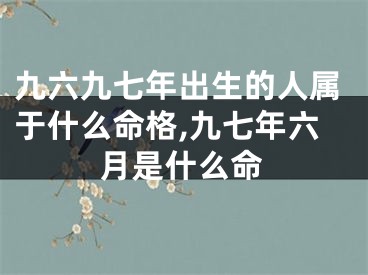 九六九七年出生的人属于什么命格,九七年六月是什么命