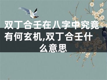 双丁合壬在八字中究竟有何玄机,双丁合壬什么意思