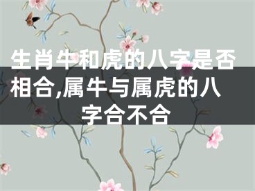 生肖牛和虎的八字是否相合,属牛与属虎的八字合不合
