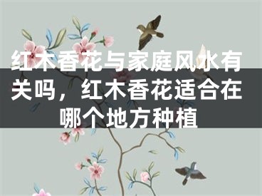 红木香花与家庭风水有关吗，红木香花适合在哪个地方种植