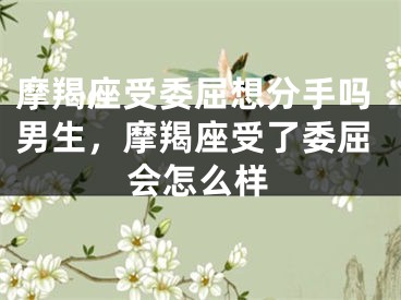 摩羯座受委屈想分手吗男生,摩羯座受了委屈会怎么样