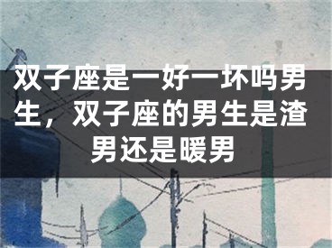 双子座是一好一坏吗男生，双子座的男生是渣男还是暖男