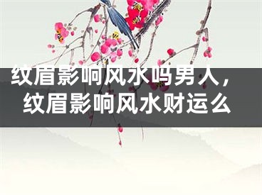 纹眉影响风水吗男人，纹眉影响风水财运么