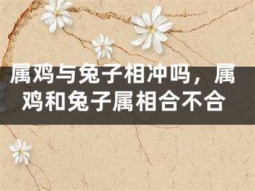 属鸡与兔子相冲吗，属鸡和兔子属相合不合