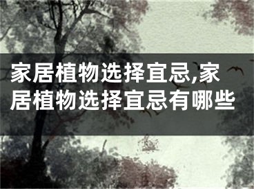 家居植物选择宜忌,家居植物选择宜忌有哪些