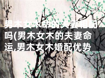 男木女木命的夫妻相配吗(男木女木的夫妻命运,男木女木婚配优势