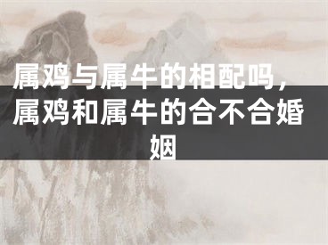 属鸡与属牛的相配吗，属鸡和属牛的合不合婚姻